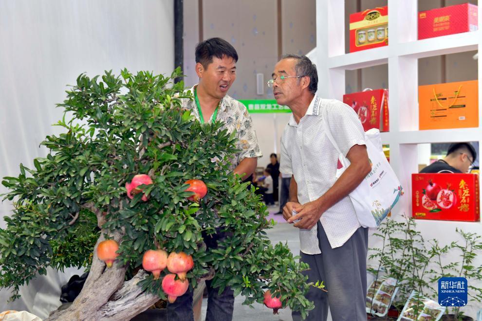 乐虎游科技